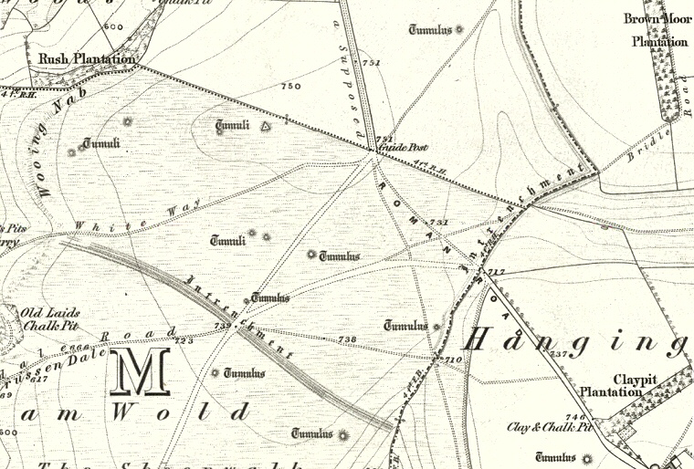 OS Map from 1855 showing thirteen of the barrows of the Acklam Wold group