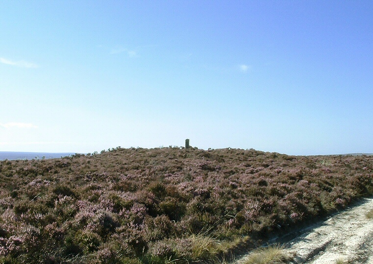 Ann Howe and Ann Cross - looking west