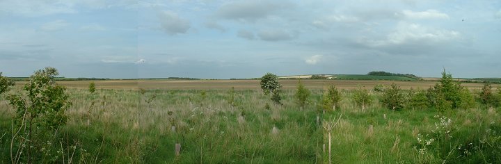 View of the site of Little Argham henge