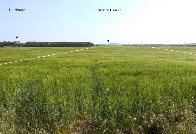 Looking southwards down the length of Argham Cursus