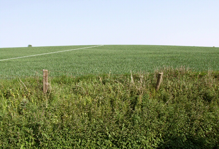 Argham Cursus looking south