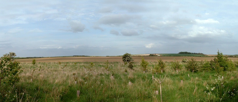 View of the site of Little Argham henge
