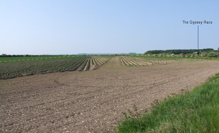 Argham Cursus - Looking north from the minor road to Littlethorpe and High Caythorpe