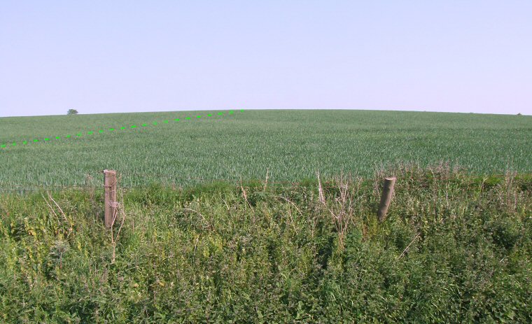 Argham Cursus looking south