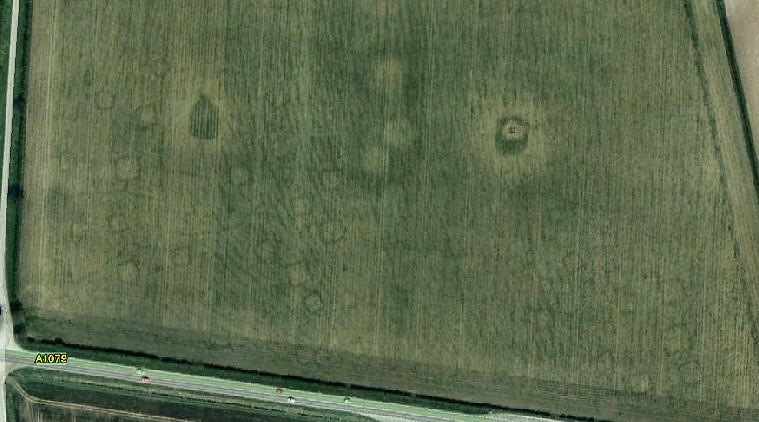Arras crop marks