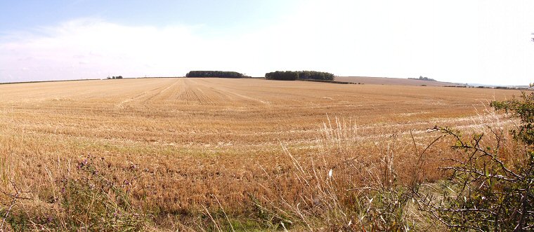 View across the southwest section of the Arras Cemetery