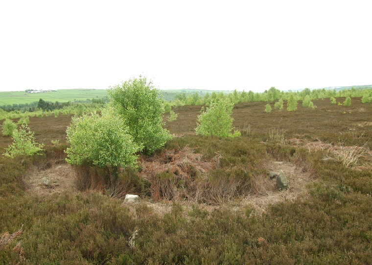 Ash Cabin Flat Stone Circle