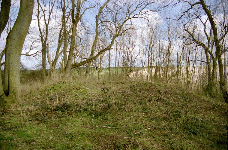 Ash Holt Long Barrow