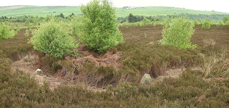 Ash Cabin Flat Stone Circle