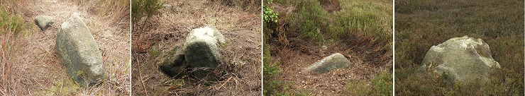 Some of the stones of Ash Cabin Flat