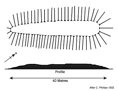 Ash Hill Longbarrow Plan