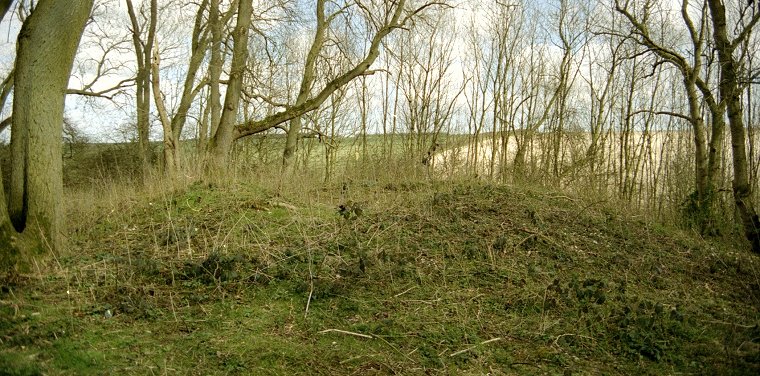 Ash Holt Long Barrow