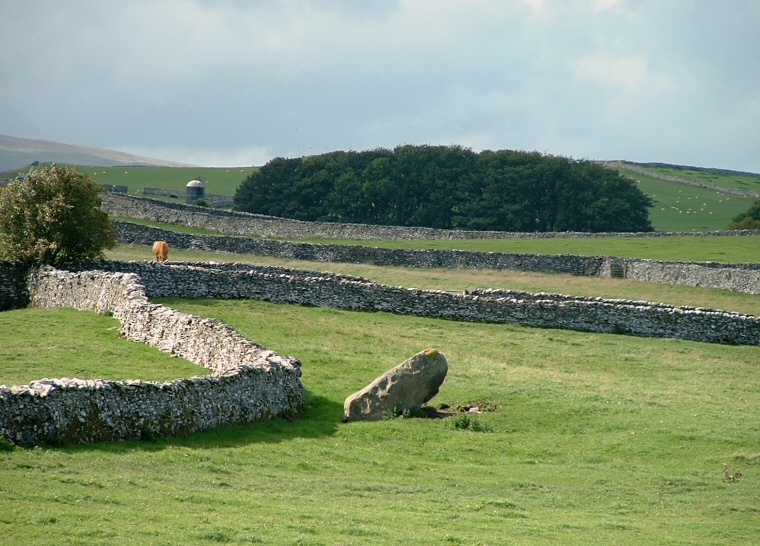 Aspers Field Stone