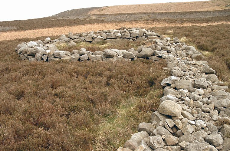 Backstone Beck Hut and Enclosure - looking southeast