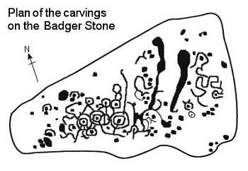 Badger Stone - Plan of the carvings 