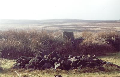 Barbrook 2 Cairn Barbrook 2 Cairn