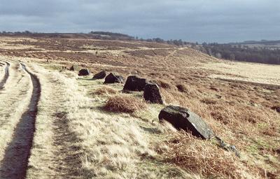 Barbrook Stone Row
