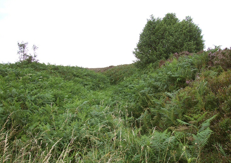 Bar Dyke looking northeast