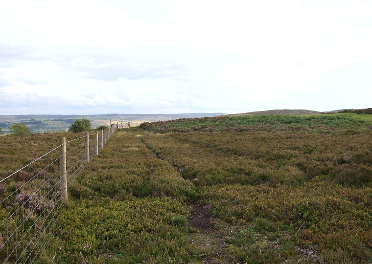 Bar Dyke Ring looking south