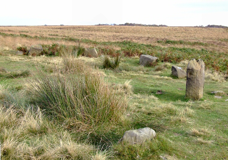 Barbrook 1 Stone Circle - the southern arc of stones