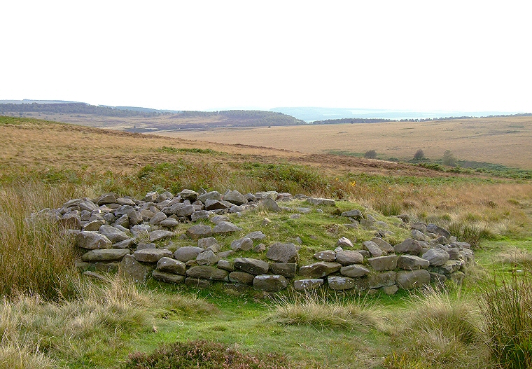 Barbrook I Cairn