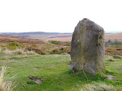 Barbrook I - Tallest Stone Barbrook I - Tallest Stone