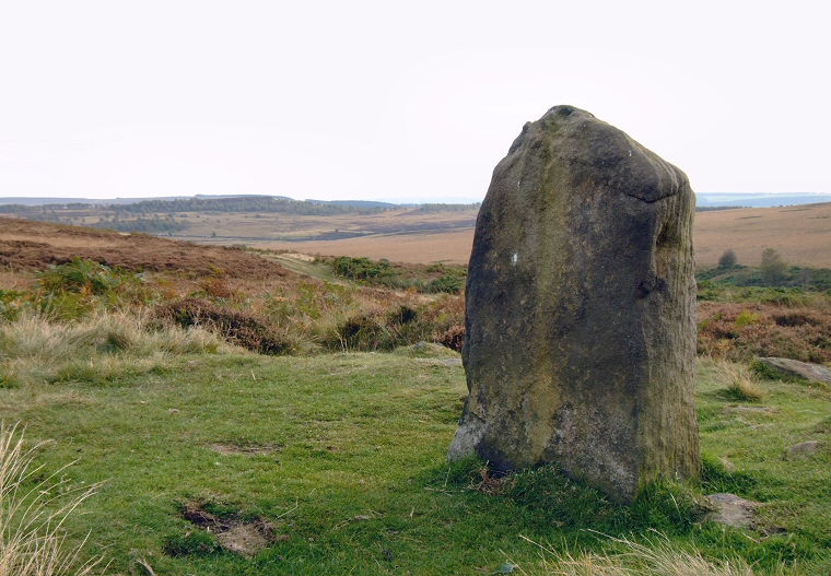 Barbrook I - Tallest Stone