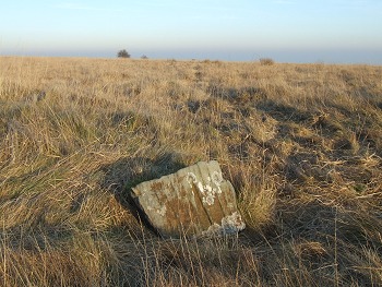 Barbrook 3 - Stone to the west