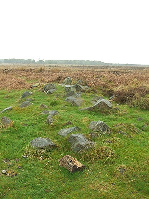 Barbrook IV Ring Cairn stone and earth bank