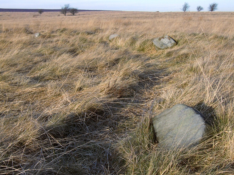 Barbrook 3 - Arc of stones to the east