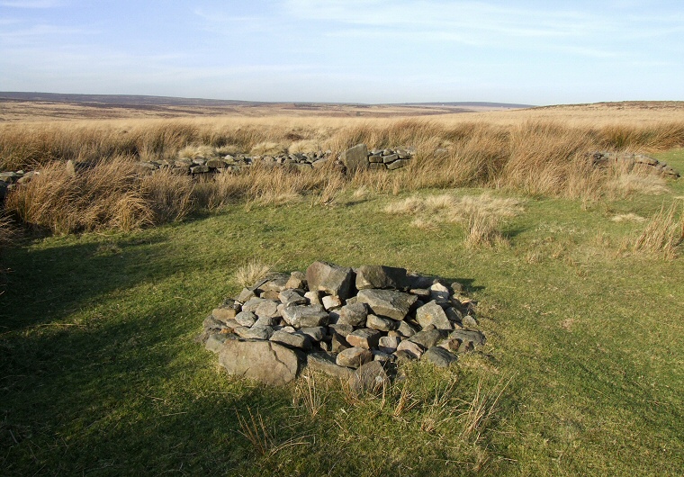 Barbrook II Cairn