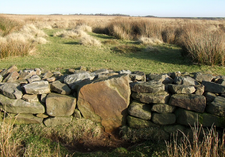 Barbrook II - one of the stones inset into the bank
