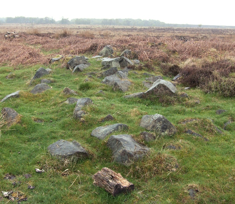 Barbrook IV Ring Cairn stone and earth bank