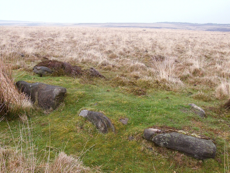 Barbrook V looking east