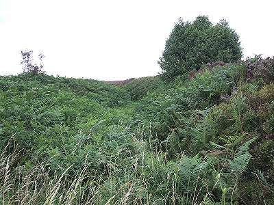 Bar Dyke looking northeast
