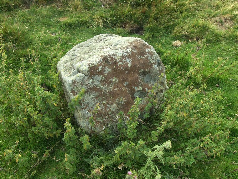 One of the stones of the circle