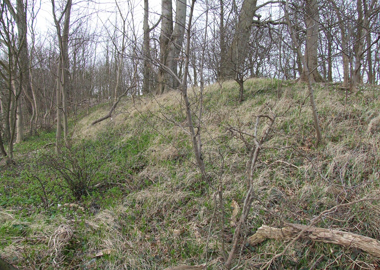 Beacon Plantation southern end of the central section