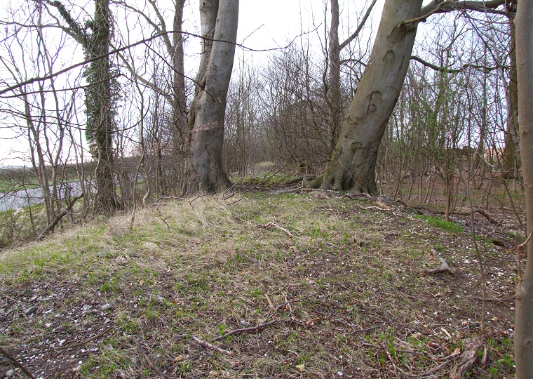 Beacon Plantation - central section looking northwest