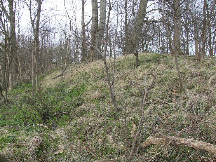 Beacon Plantation southern end of the central section