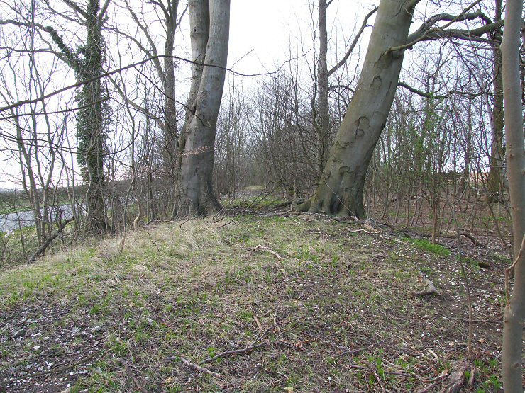 Barrow Plantation