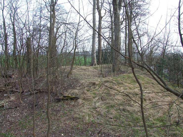 Beacon Plantation  southern section