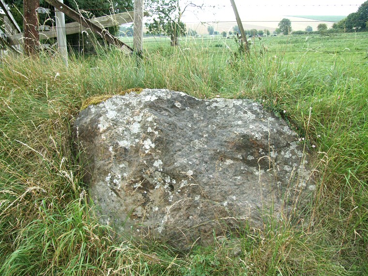 One of the stones of the Beckhampton Avenue?