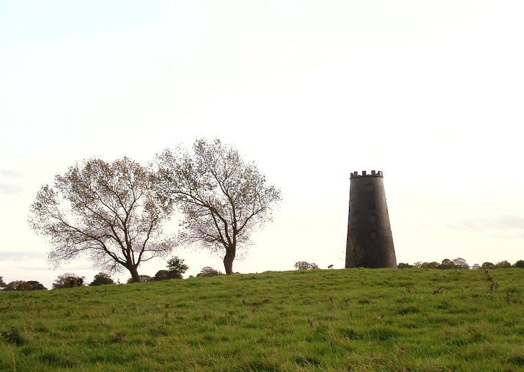 Westwood Common - Bowl Barrow at TA02083905