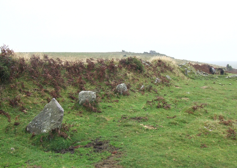 The southern line of stones of Black Tor row looking northeast