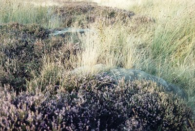 Bradup boulders