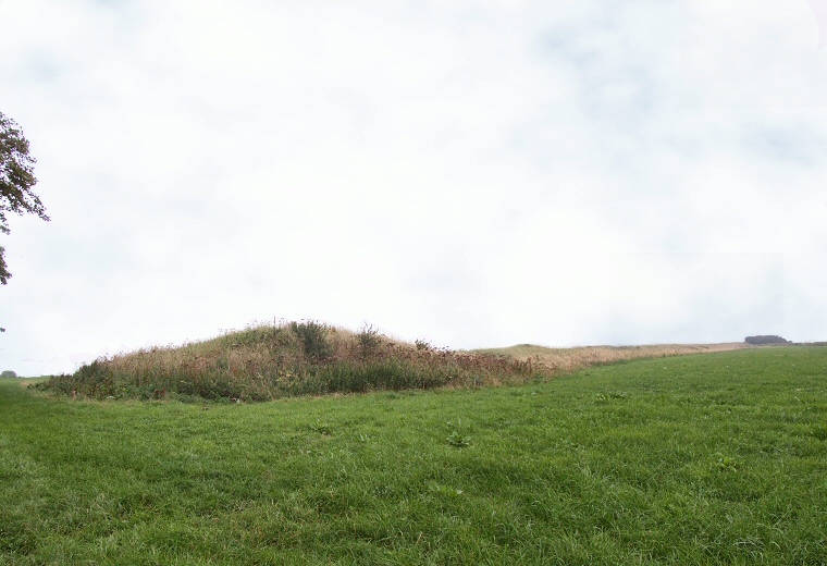 Broadmayne Bank Barrow looking east