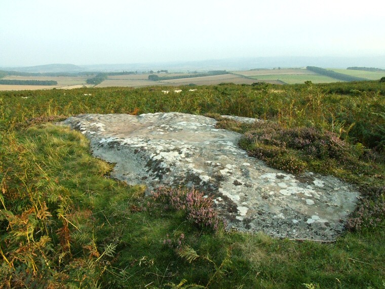 Broomridge 1 - looking south