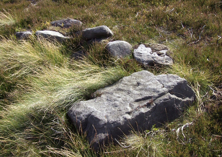 The inner kerb stones with large fallen stone