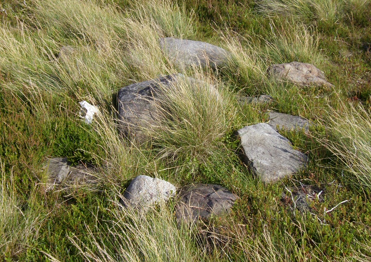 Stones of the central cairn