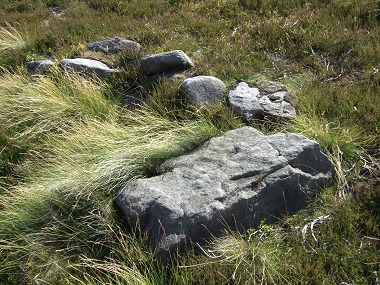 The inner kerb stones with large fallen stone